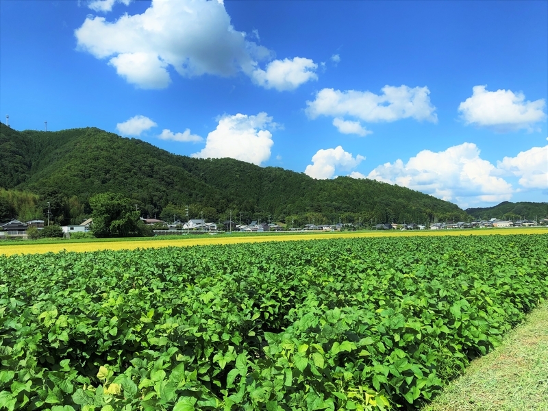 20190828021340