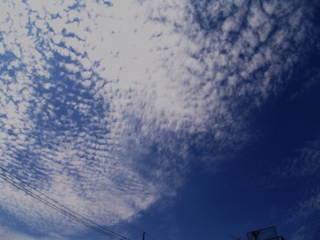 f:id:absurdum:20090816134331j:image