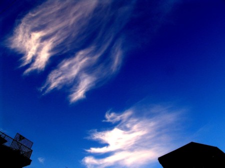 f:id:absurdum:20090816182219j:image