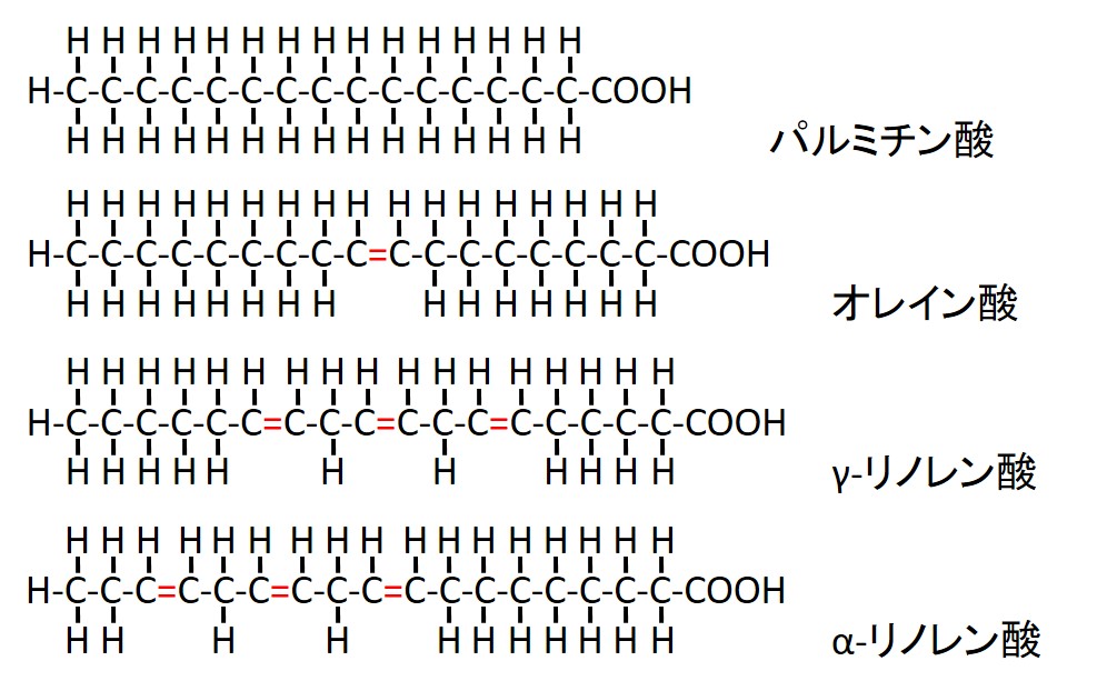 f:id:aburaoil:20200914210159j:plain