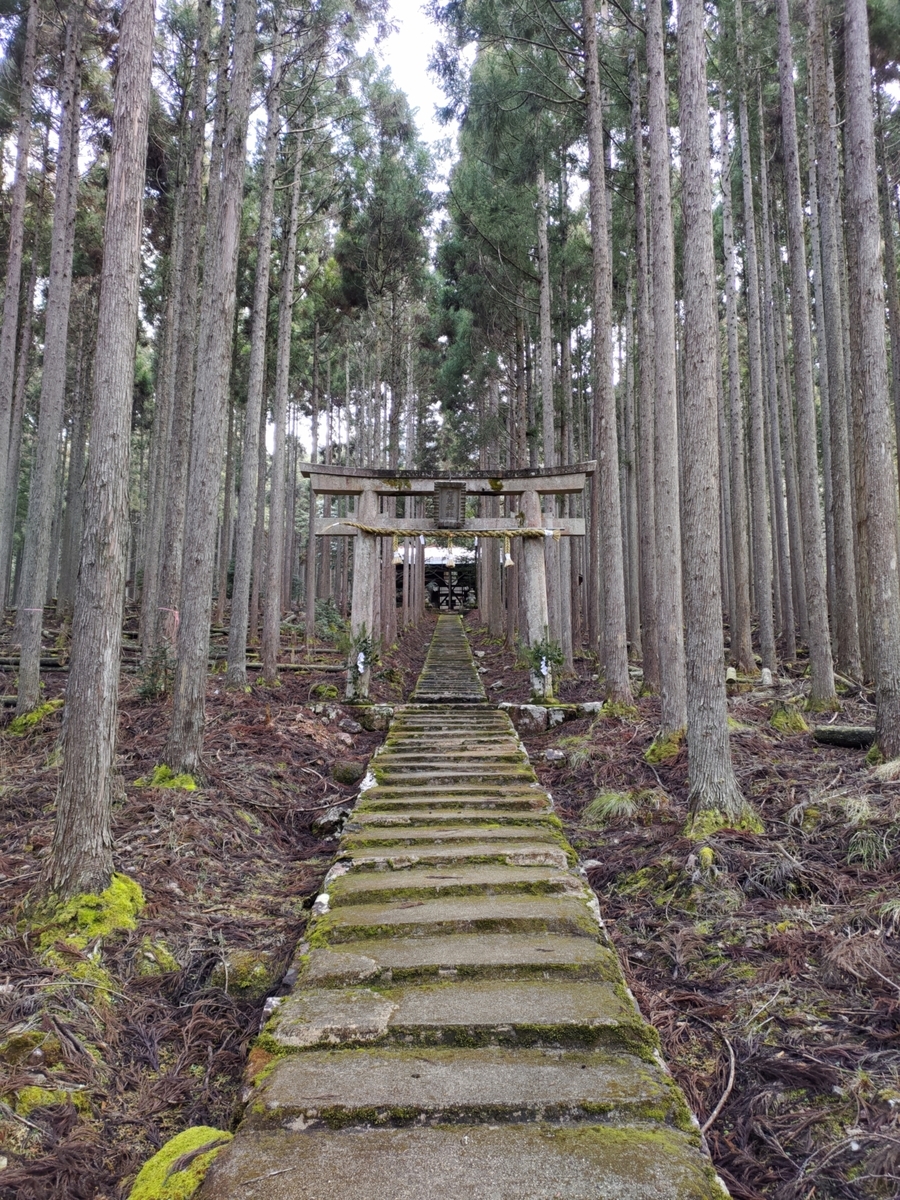 f:id:abusan3225:20210726180801j:plain