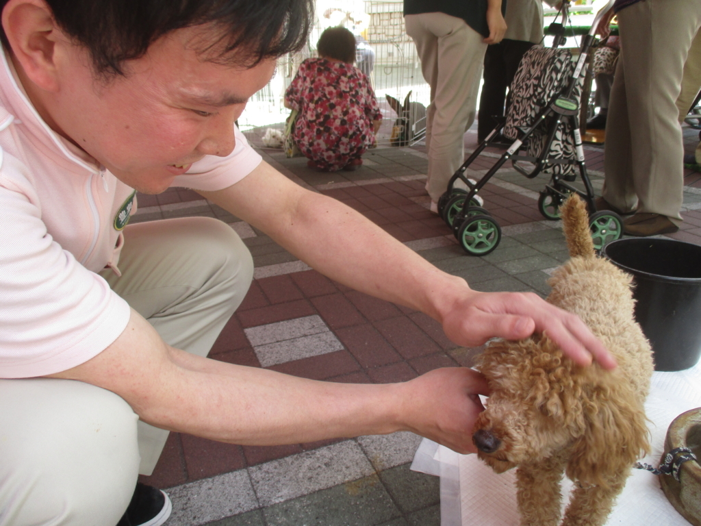f:id:ac-housenka:20170610104110j:plain f:id:ac-housenka:20170610104110j:plain