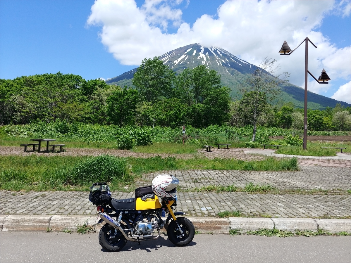 f:id:ac104:20190602111015j:plain