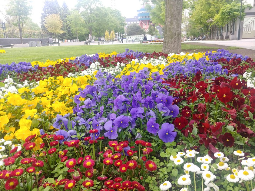 f:id:ac104:20200528152118j:plain