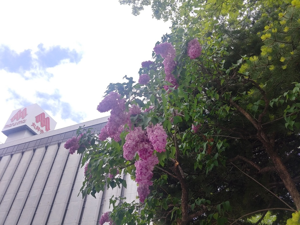 f:id:ac104:20200528152708j:plain