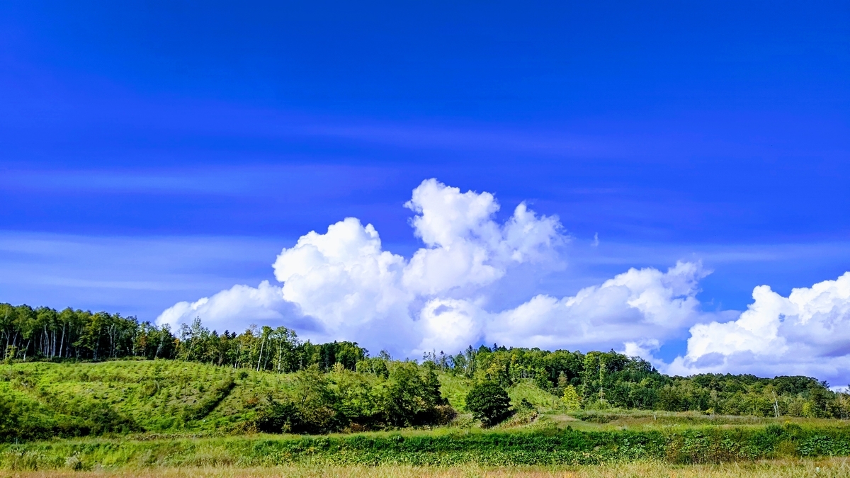 f:id:ac104:20201002095410j:plain