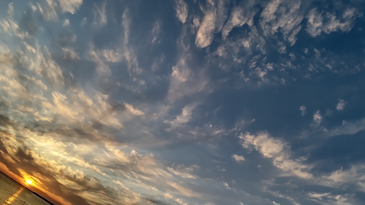 f:id:ac104:20201106154116j:plain