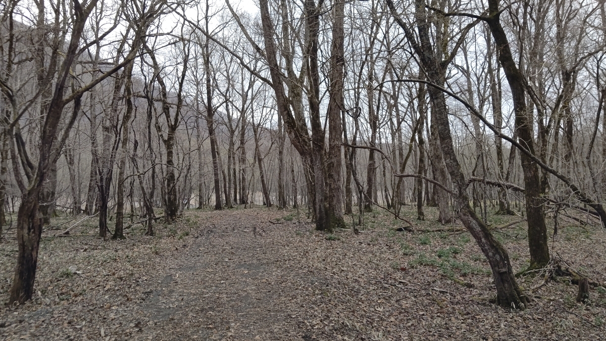 f:id:ac104:20210426104201j:plain