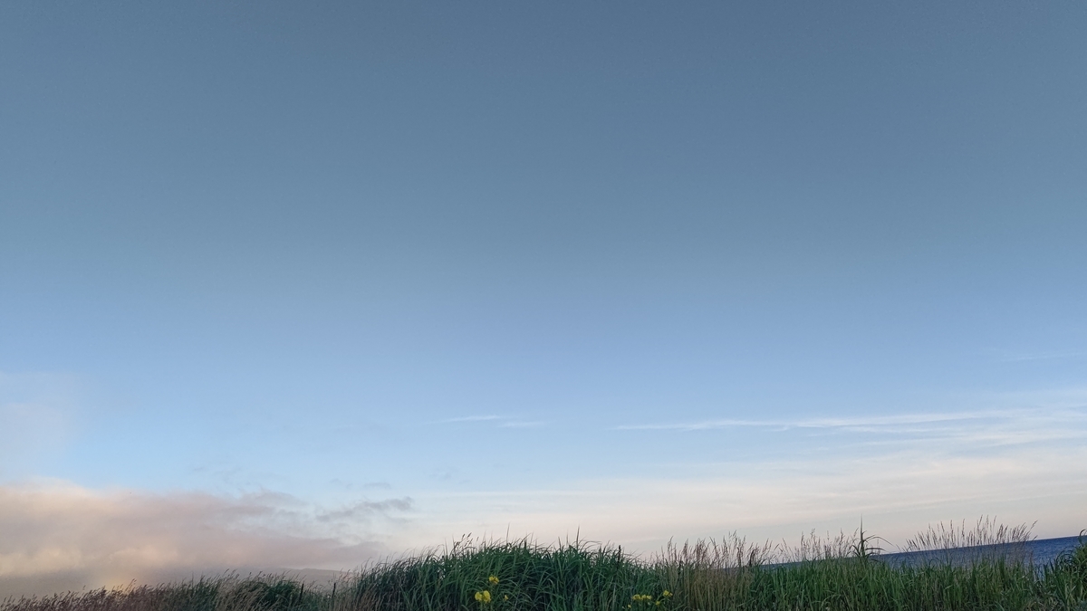 f:id:ac104:20211216182230j:plain