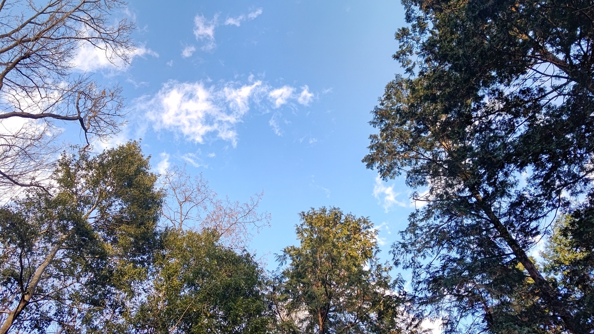 f:id:ac104:20220111182956j:plain