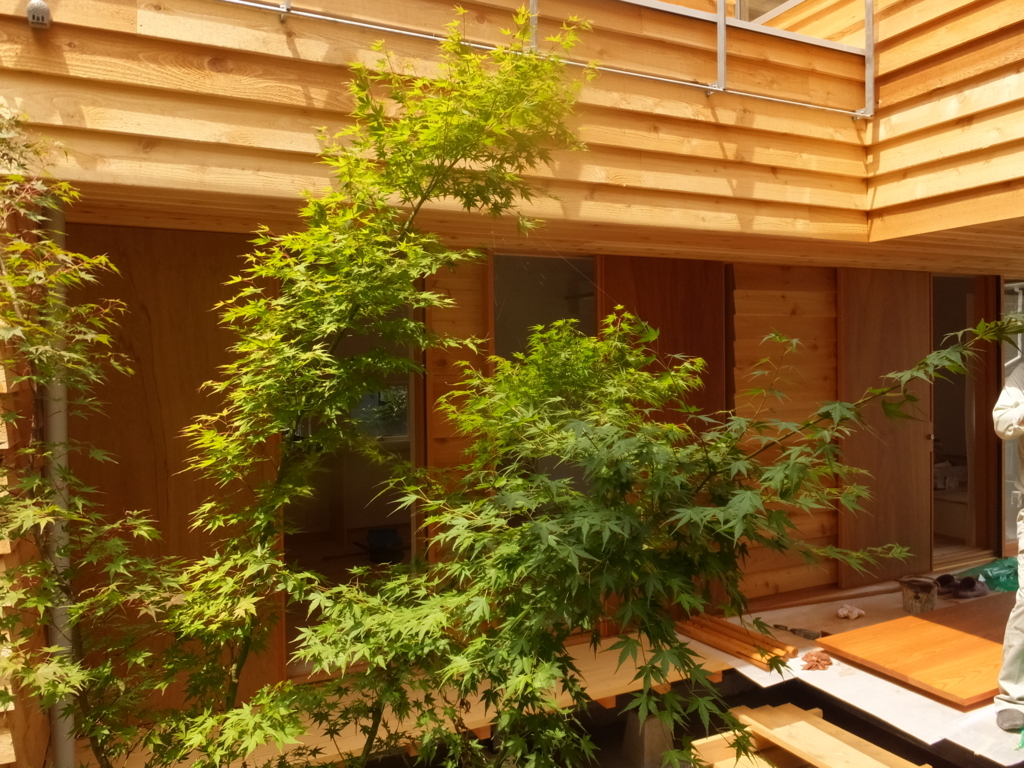 f:id:acaa:20180803135908j:plain