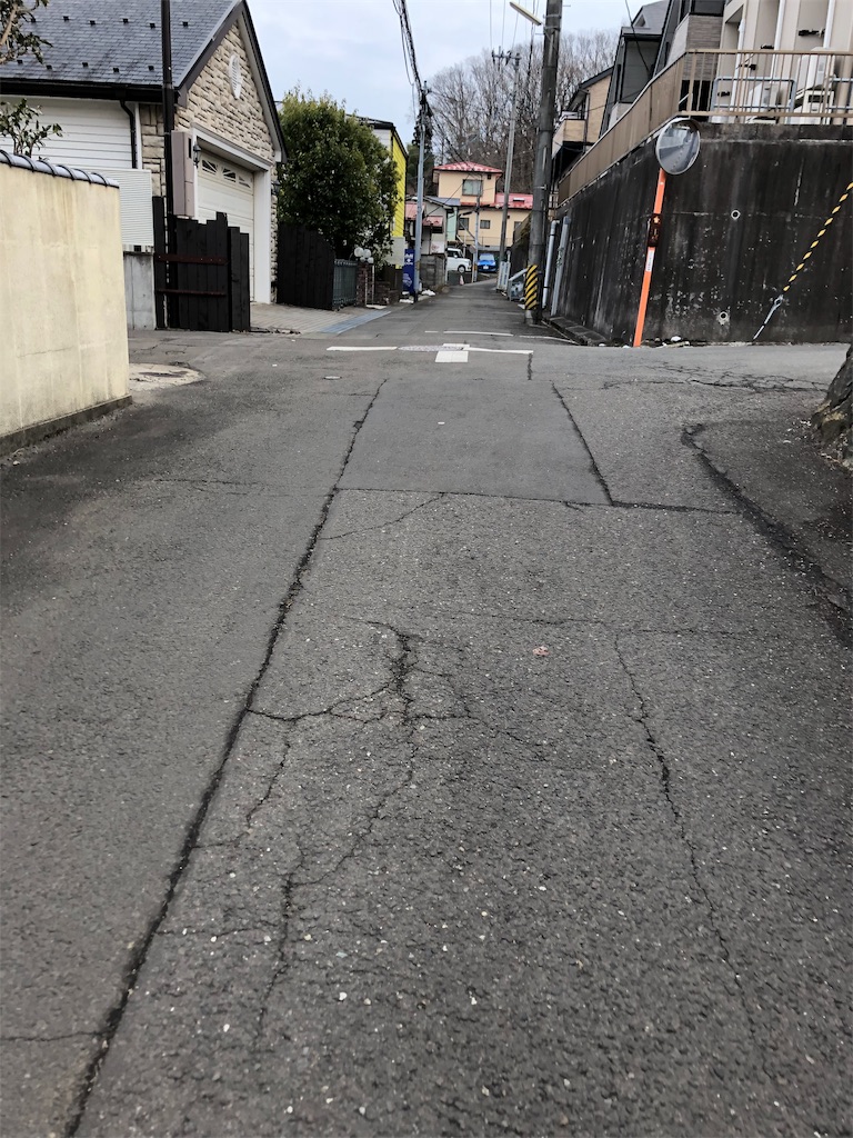 f:id:acacacmin:20190205213655j:image