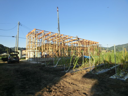 f:id:academeia:20121008161623j:image