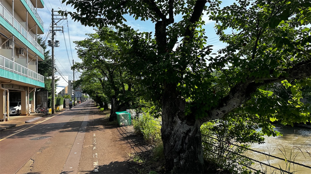 f:id:academij:20240706190053j:image