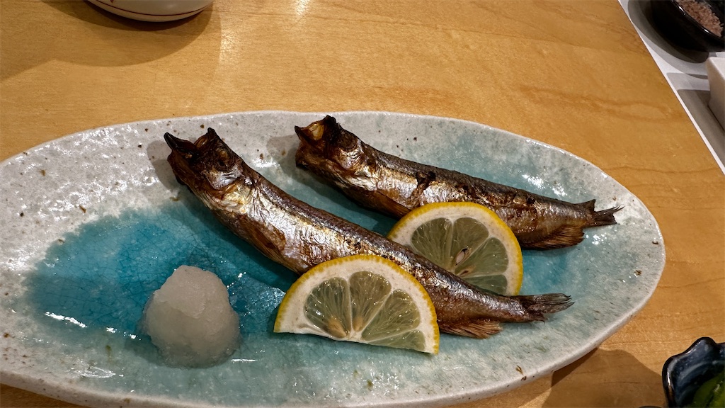 f:id:academij:20240717160525j:image