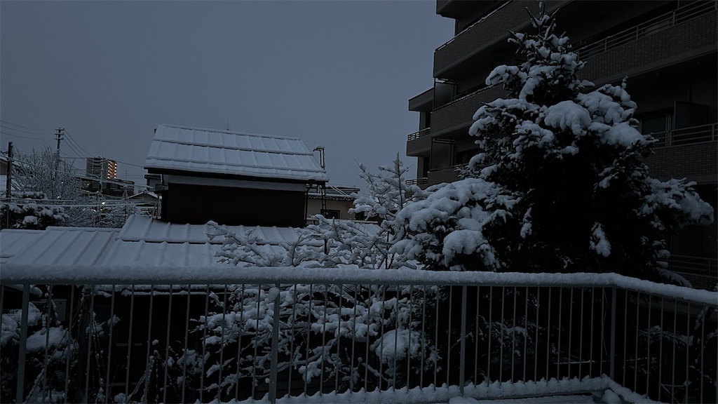 f:id:academij:20250105152018j:image