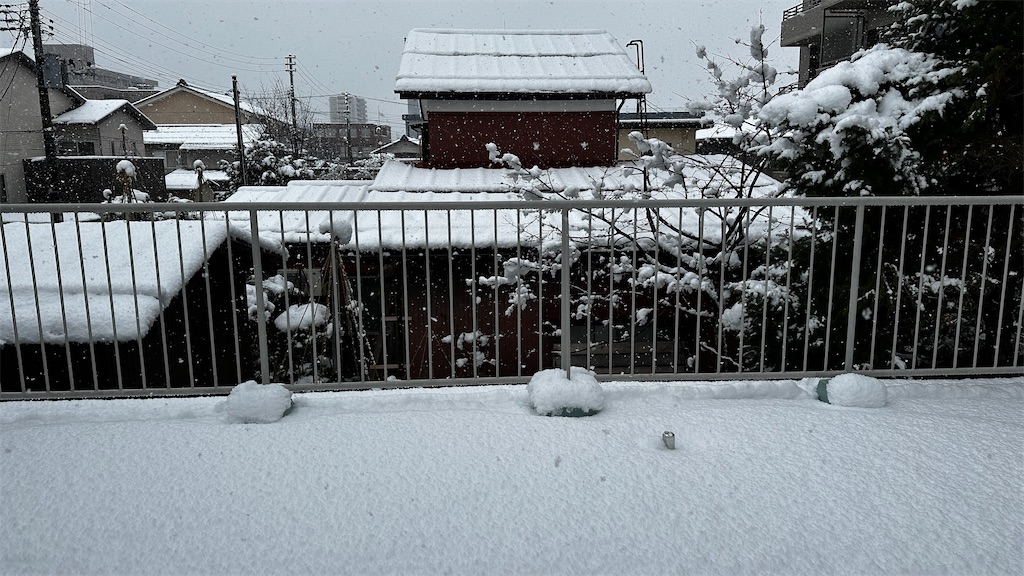 f:id:academij:20250105152022j:image