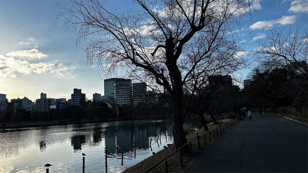 f:id:academij:20250215082605j:image