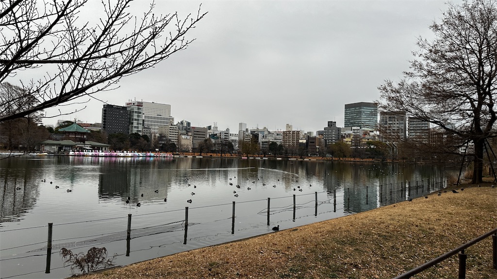 f:id:academij:20250217082702j:image