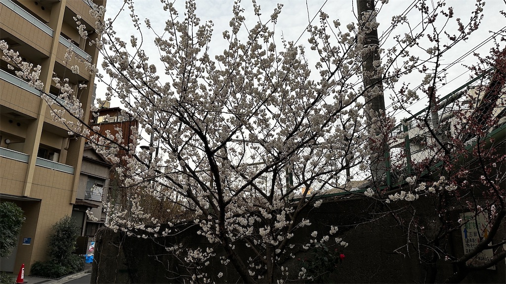 f:id:academij:20250318044115j:image