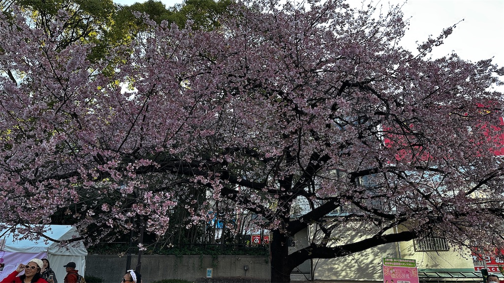 f:id:academij:20250323082333j:image