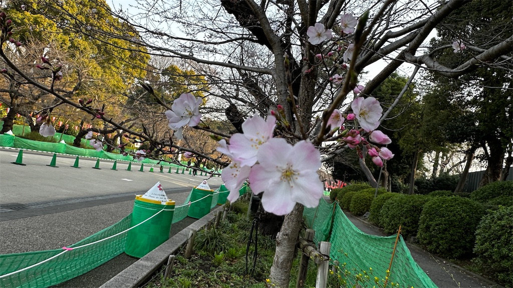 f:id:academij:20250326081228j:image