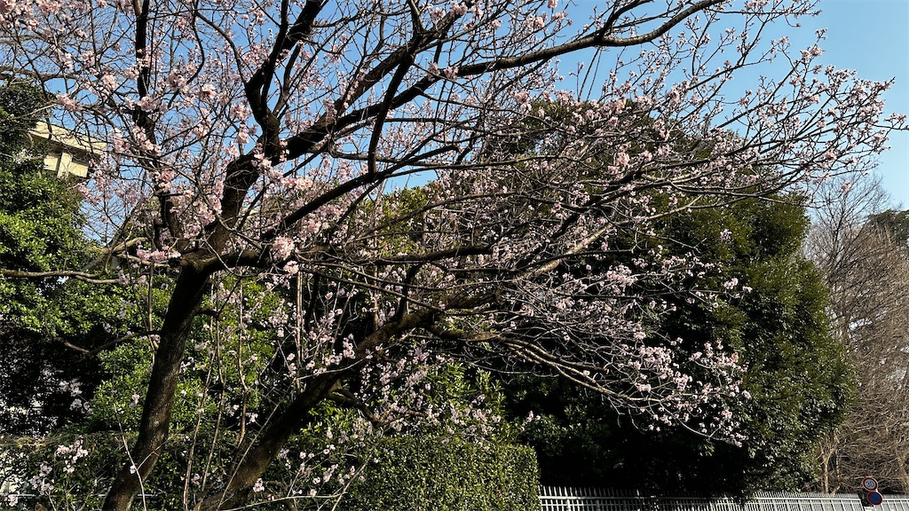 f:id:academij:20250326081245j:image