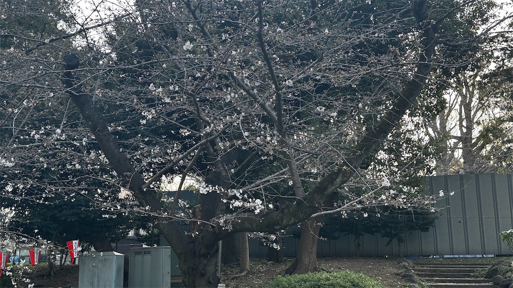 f:id:academij:20250327080800j:image