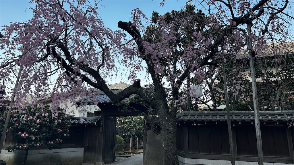 f:id:academij:20250327080815j:image