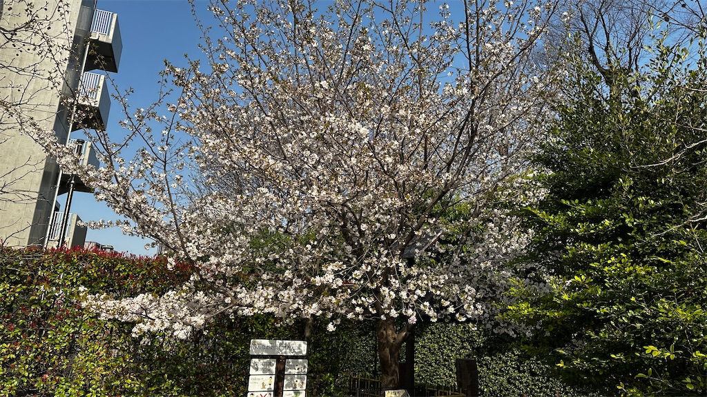 f:id:academij:20250327080823j:image
