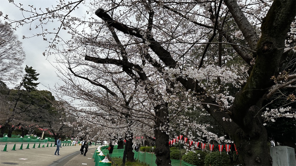f:id:academij:20250328083045j:image