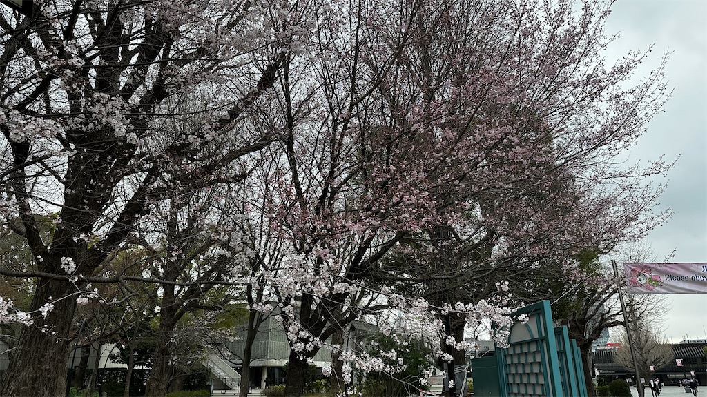 f:id:academij:20250328083052j:image