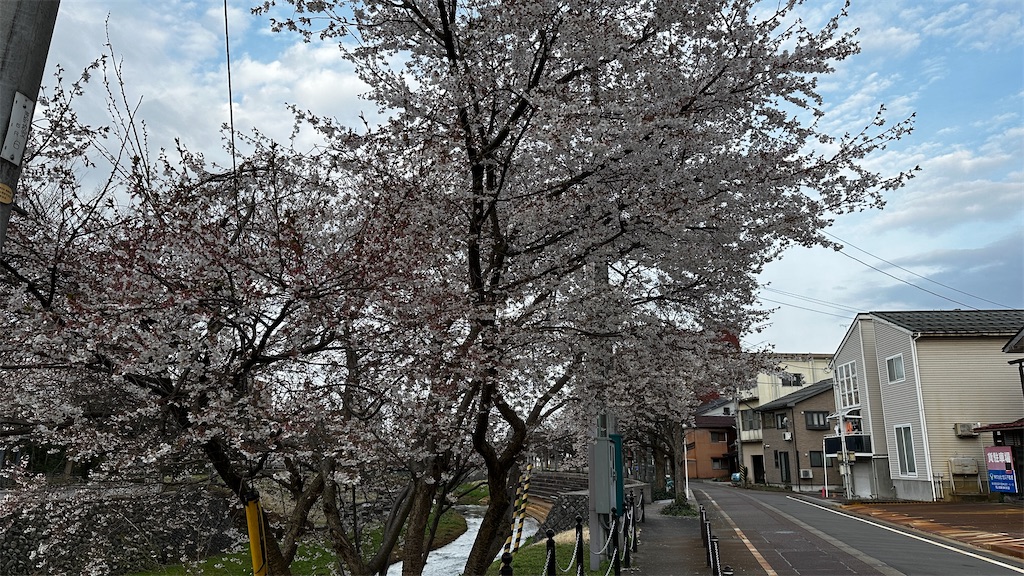 f:id:academij:20250407125602j:image