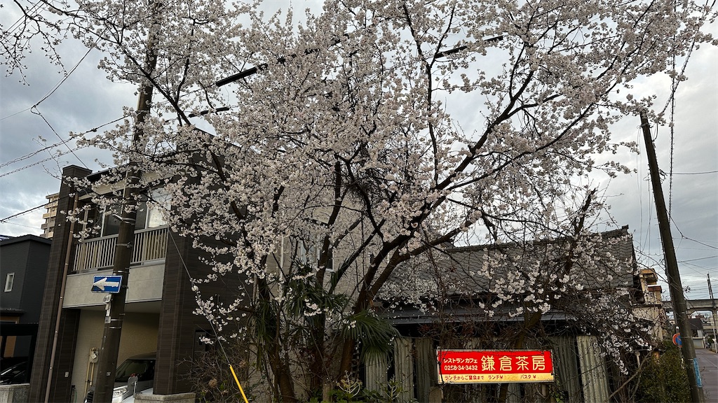 f:id:academij:20250407125613j:image