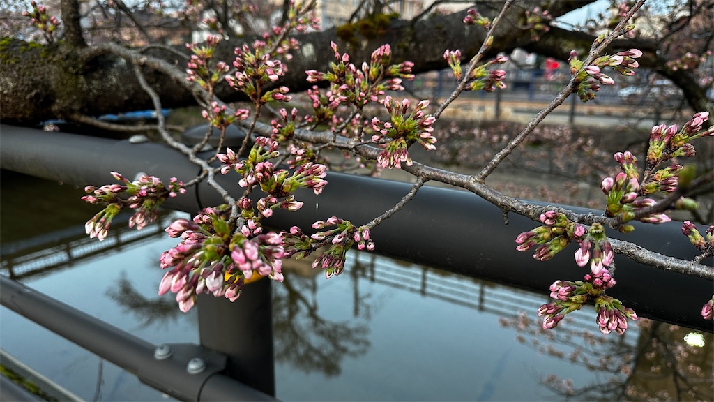 f:id:academij:20250409100552j:image