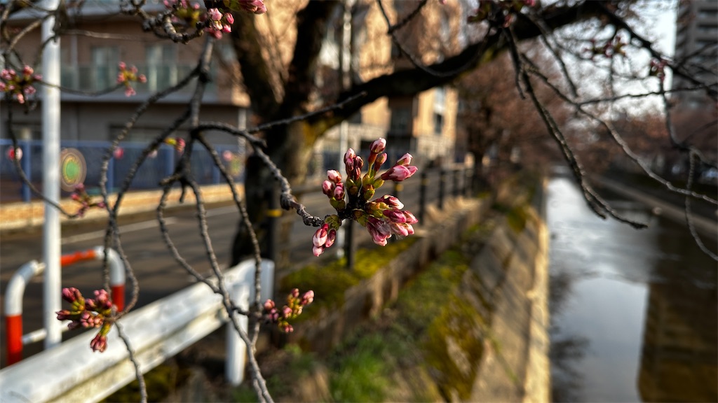 f:id:academij:20250409100609j:image