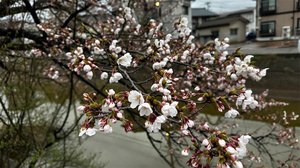 f:id:academij:20250410104854j:image