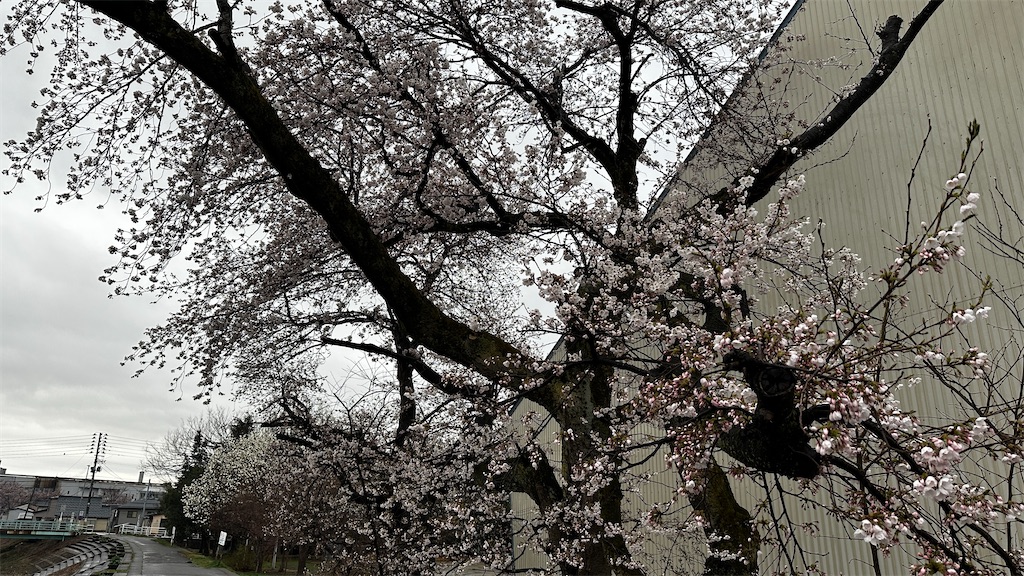 f:id:academij:20250412111812j:image