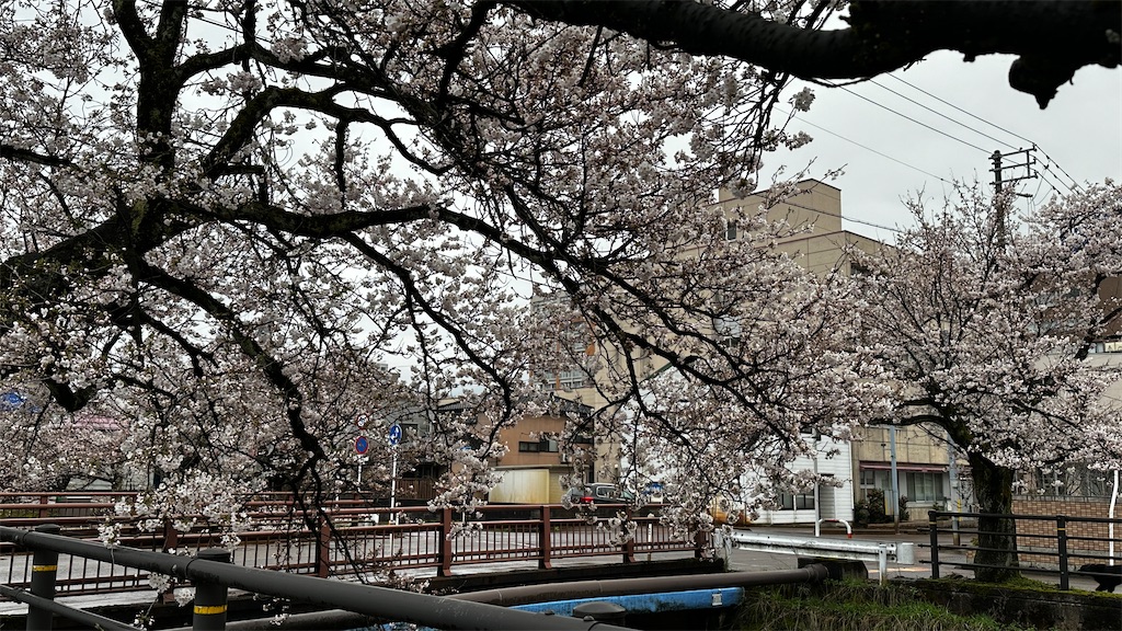 f:id:academij:20250412111816j:image