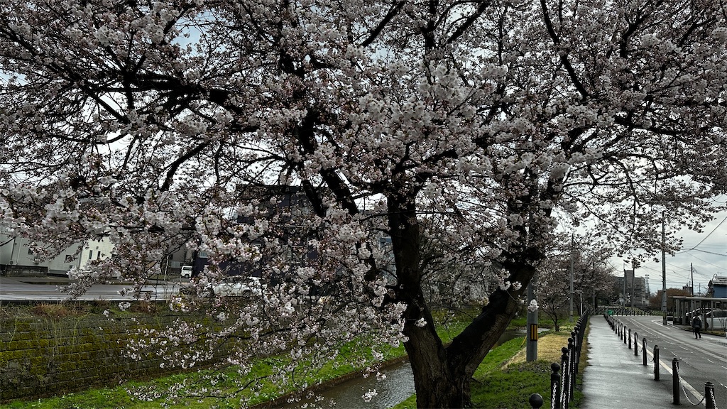 f:id:academij:20250412111819j:image