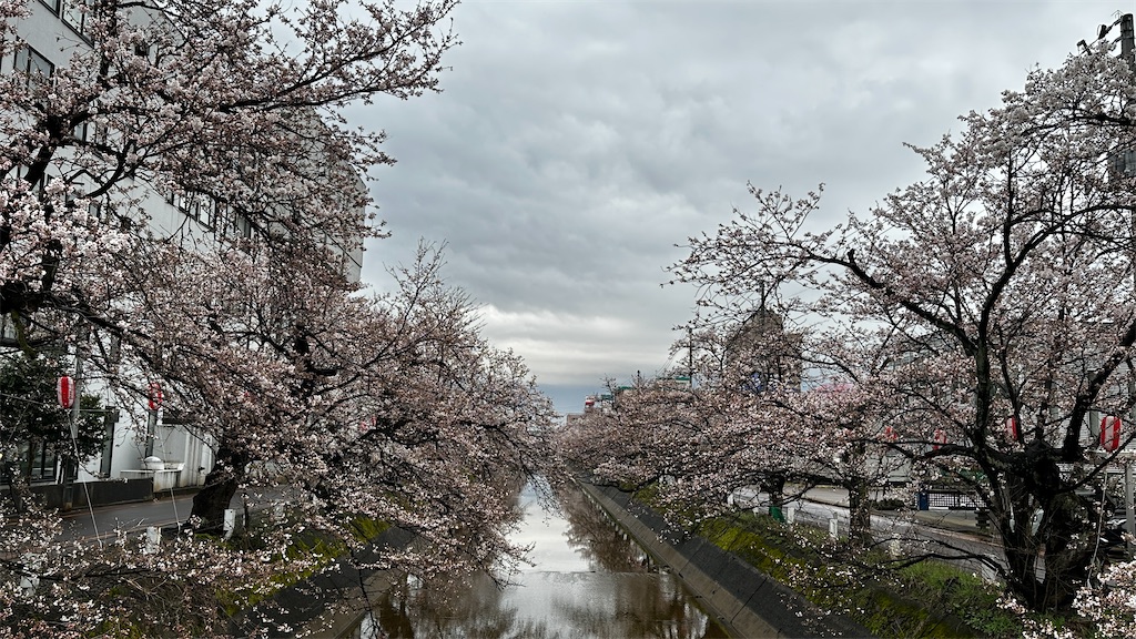 f:id:academij:20250412111830j:image