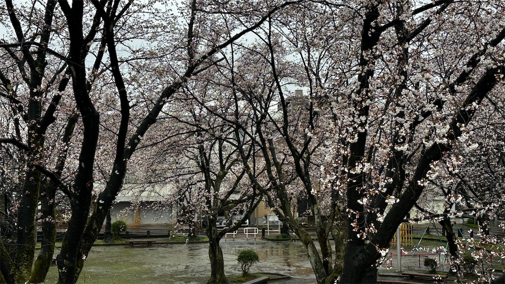 f:id:academij:20250412111841j:image