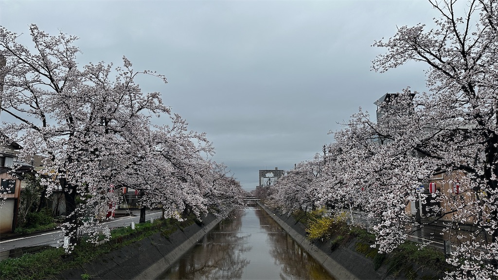 f:id:academij:20250412111850j:image