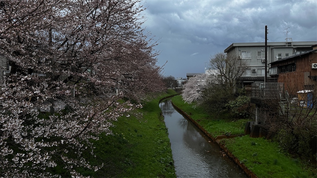f:id:academij:20250412111859j:image