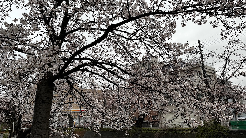 f:id:academij:20250412111903j:image