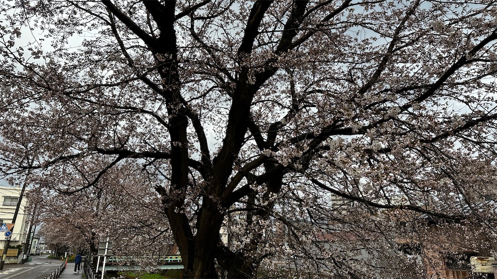 f:id:academij:20250412111914j:image