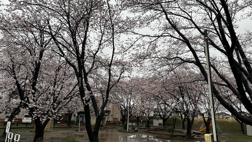 f:id:academij:20250412111929j:image