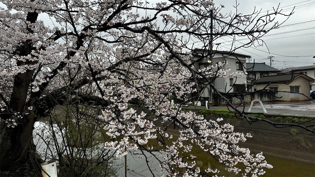 f:id:academij:20250412111935j:image