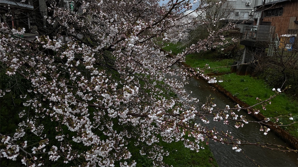 f:id:academij:20250412111939j:image
