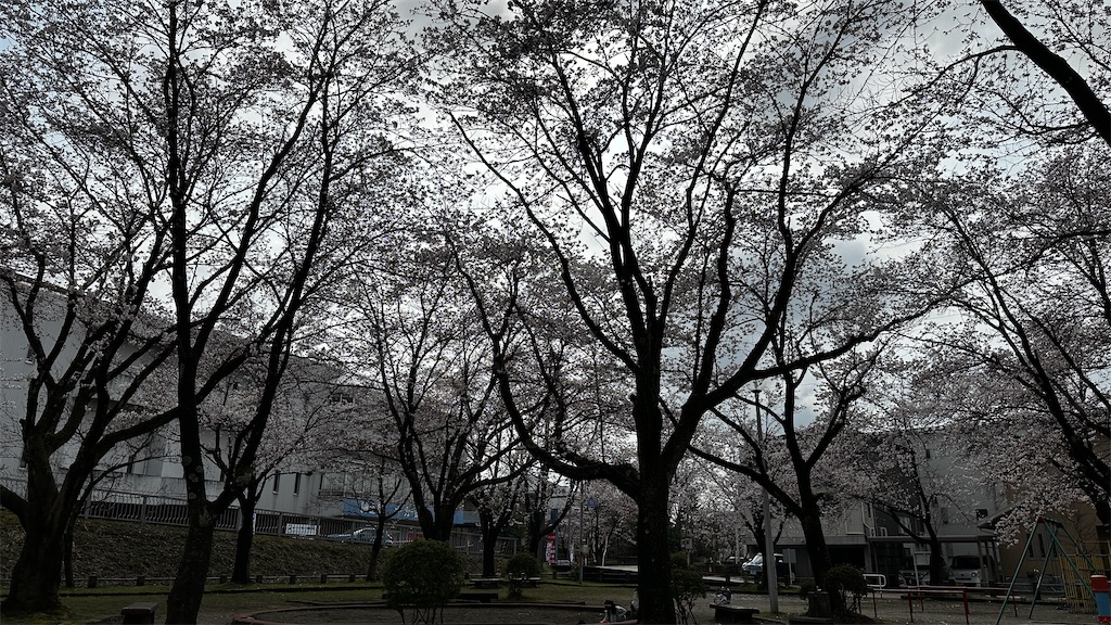 f:id:academij:20250412111941j:image